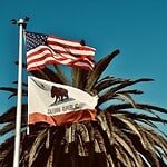 American and California flags waving against a palm tree backdrop in sunny Monterey, CA.