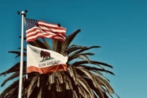 American and California flags waving against a palm tree backdrop in sunny Monterey, CA.